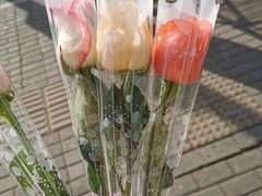 -超市发超市(学院路店)