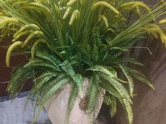 -临水宫·康养餐厅(徐矿广场店)