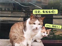 -赛马场美食城