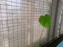-煮雨小筑(斜塘老街店)