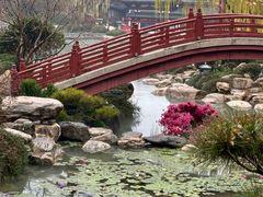-华清宫景区