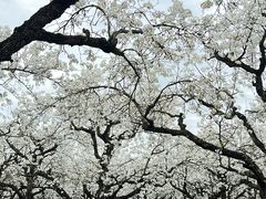 -江苏三台山国家森林公园