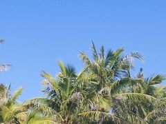 -深圳湾公园(南山区)