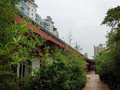 -沉瓯 福鼎白茶(洛川中路店)