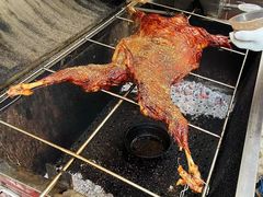 -碧云别墅南区