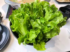 生菜-潮发潮汕牛肉店(永庆坊店)