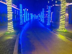 -三亚海昌梦幻海洋不夜城