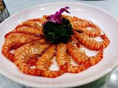 白灼斑节虾-金米箩大酒店(五角场店)