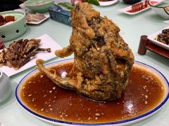 糖醋黄河鲤鱼-梅飞酒家(名辉豪庭店)