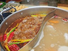 -手选潮汕鲜活牛肉火锅(二七广场店)