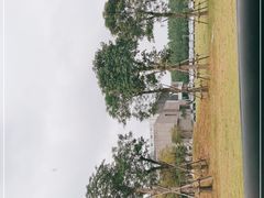 -露天矿生态公园