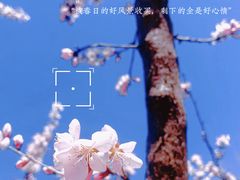 -仁和公园(顺义区)