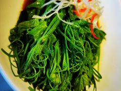 -初蓉丨遇见新川菜(亲贤街荣耀店)