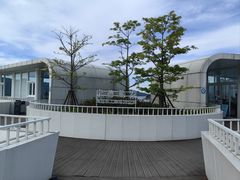 -大京沙滩