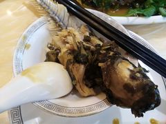 昂刺鱼-新天厨酒家(二分店)