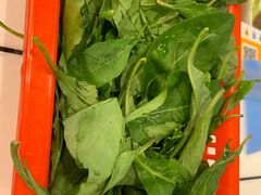 枸杞-领鲜现切猪杂火锅(番禺桥南店)