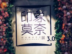 -印象莫奈时光映迹艺术展