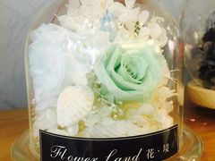 -卓花境Flowerwonderland花店
