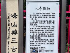 -天津市峰山药王古寺