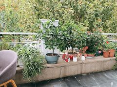 -一澜江宴·江景地标楚菜(江滩公园店)