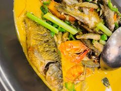 -饭怕鱼·黄焖鲟龙鱼(湖大店)
