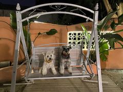 -大财·DA CAI花园餐厅.草坪婚礼.团建会议.围炉煮茶.求婚派对(三圣乡店)