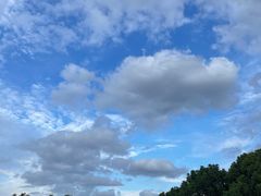 -昆山城市生态森林公园