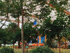 -南宫五洲植物乐园