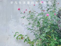 -拙政园