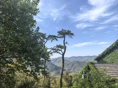 -莫干山风景区