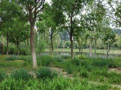 -东郊湿地公园