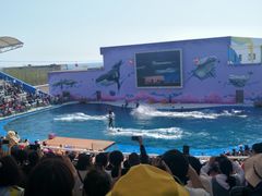 -北戴河圣蓝海洋公园