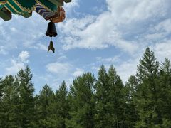 -塞罕坝国家级自然保护区