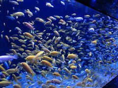 -成都浩海立方海洋公园