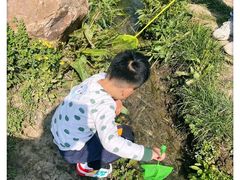 -羊山湖公园