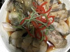 -田螺阿姨自营月嫂·育儿嫂(高新店)