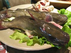 -小龙坎火锅(华凌店)