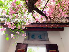 -深圳国际园林花卉博览园