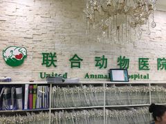 -联合动物医院(光谷诊疗中心)
