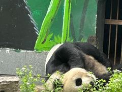 -南昌动物园