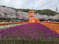 -苏州上方山国家森林公园
