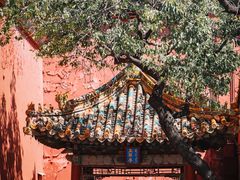 -故宫博物院(故宫)
