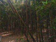 -同里国家湿地公园