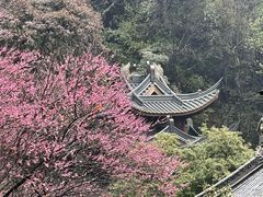 -韬光茶庵