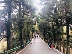 -南岳衡山风景名胜区