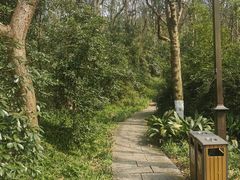 -吴山景区