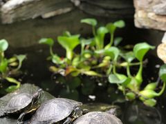 -谷咖啡·鲜花绿植花园餐厅