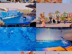 -上海海昌海洋公园
