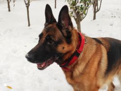 -米莱摄影写真(五大道别墅店)