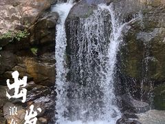 -广州白江湖森林公园